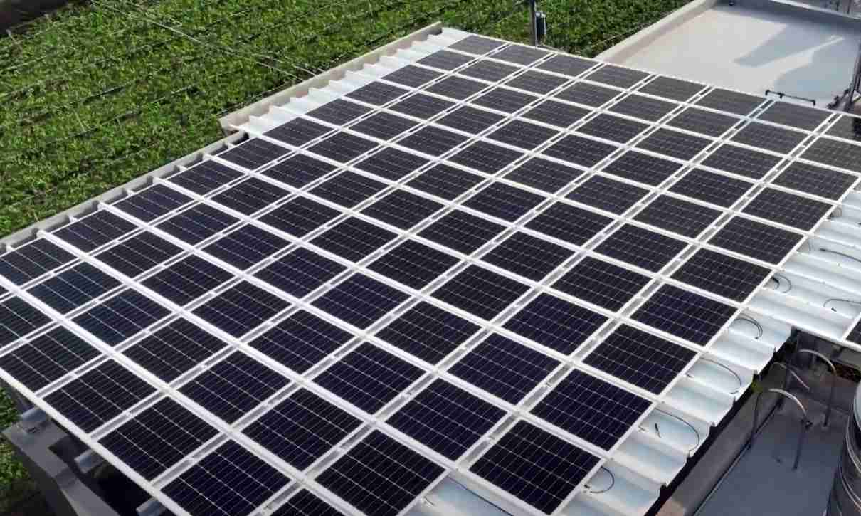 牛牛游戏SunSteel光电浪板升级双玻结构，，，以提升机械负载强度及气候耐候度，，，，可广泛运用于多元场域